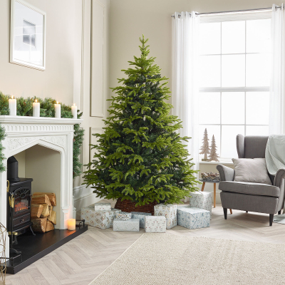 Pre Lit Brewer Spruce Green Classic Christmas Tree - 8ft / 240cm