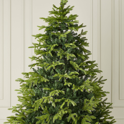 Pre Lit Brewer Spruce Green Classic Christmas Tree - 7ft / 210cm