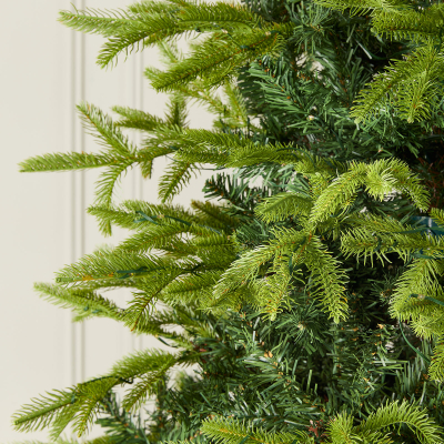 Pre Lit Brewer Spruce Green Classic Christmas Tree - 8ft / 240cm