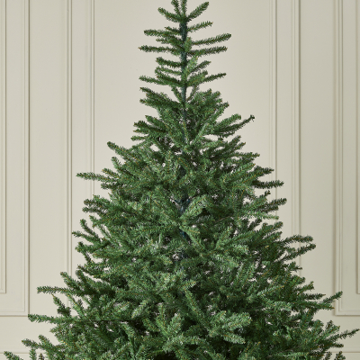 Colorado Spruce Green Classic Christmas Tree - 7ft / 210cm
