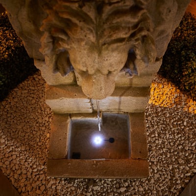 Leon Water Feature with Lights