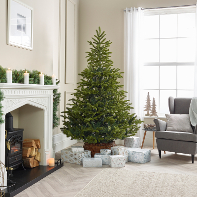 Englemanns Spruce Green Classic Christmas Tree - 5ft / 150cm