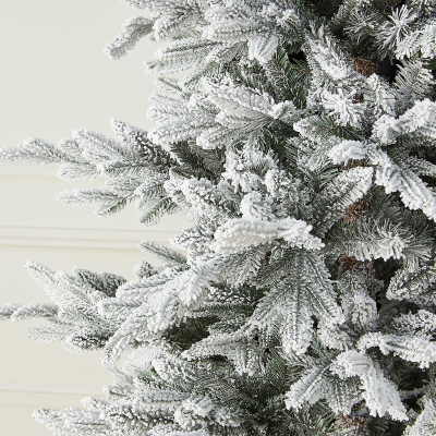 Concolor Fir Grey Flocked Christmas Tree - 8ft / 240cm