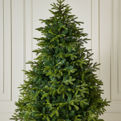 Brewer Spruce Green Classic Christmas Tree - 8ft / 240cm