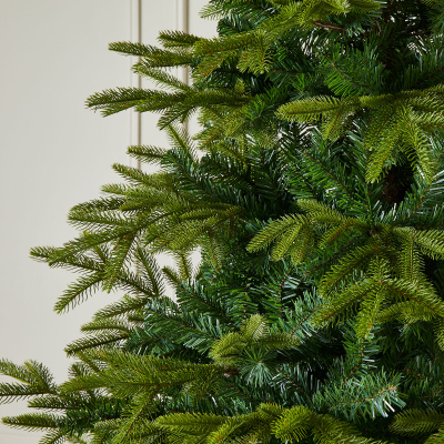 Brewer Spruce Green Classic Christmas Tree - 8ft / 240cm