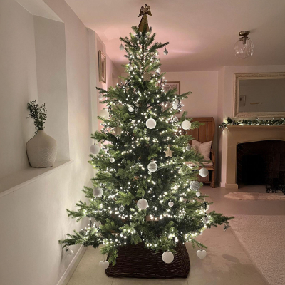 8ft Calgary Fir Green Christmas Tree (240cm)