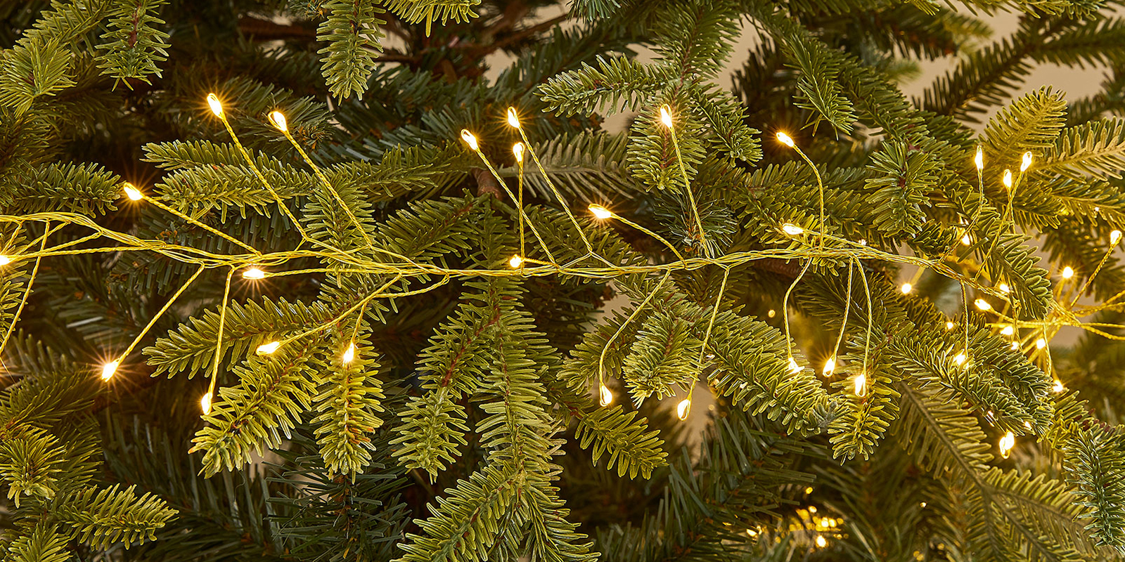 Why Are Pin Wire Lights This Year&#039;s Must-Have
